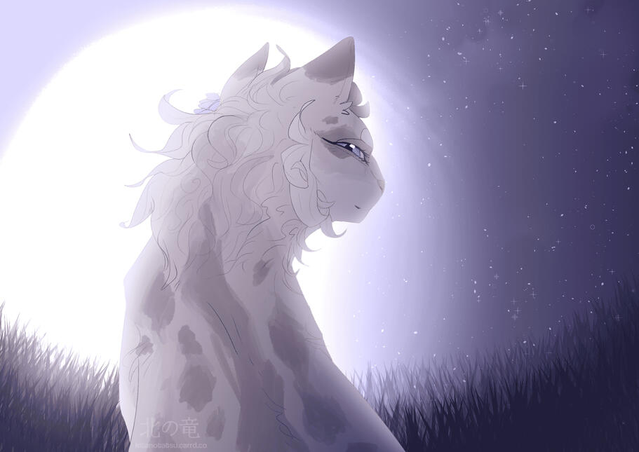 artfight 2025 artfight 2025