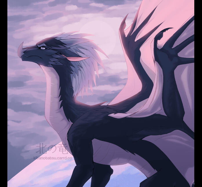 artfight 2025 artfight 2025