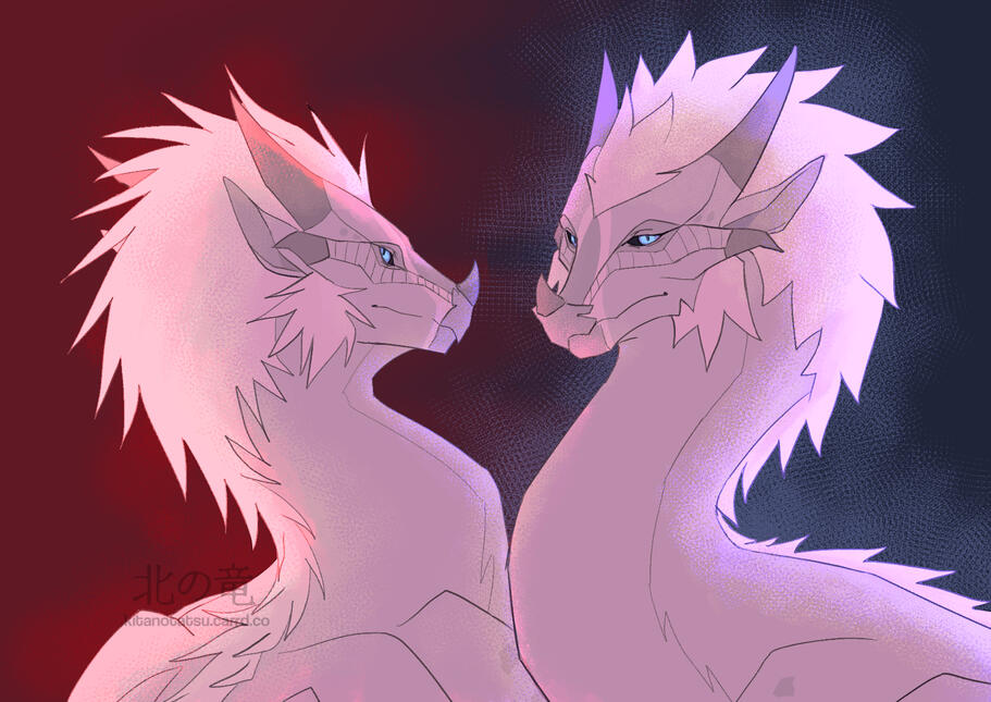 wof ocs wof ocs
