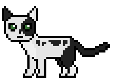 kitty kitty