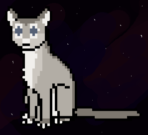kitty kitty