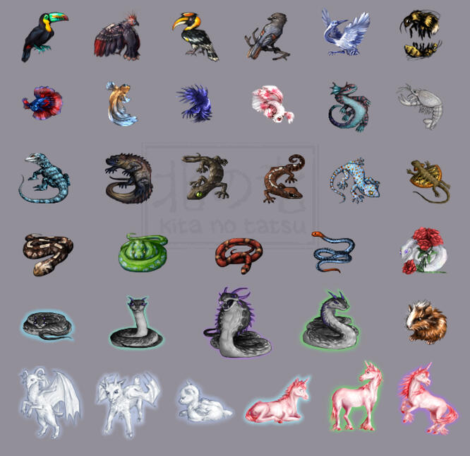 animal set 70x70, 100x100